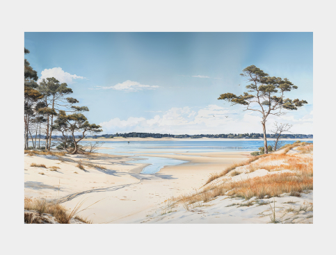 Tableau : Plage Sud-Ouest,...