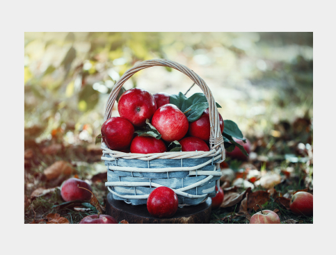 Tableau : Pommes Dans Panier