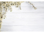 Fleurs sur bois blanc