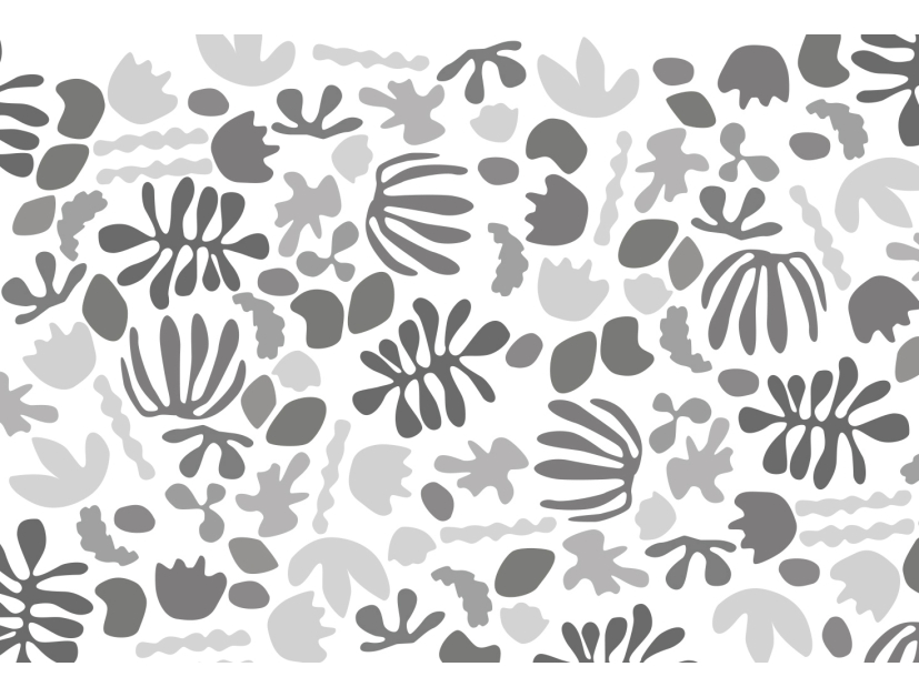 Matisse Noir et blanc
