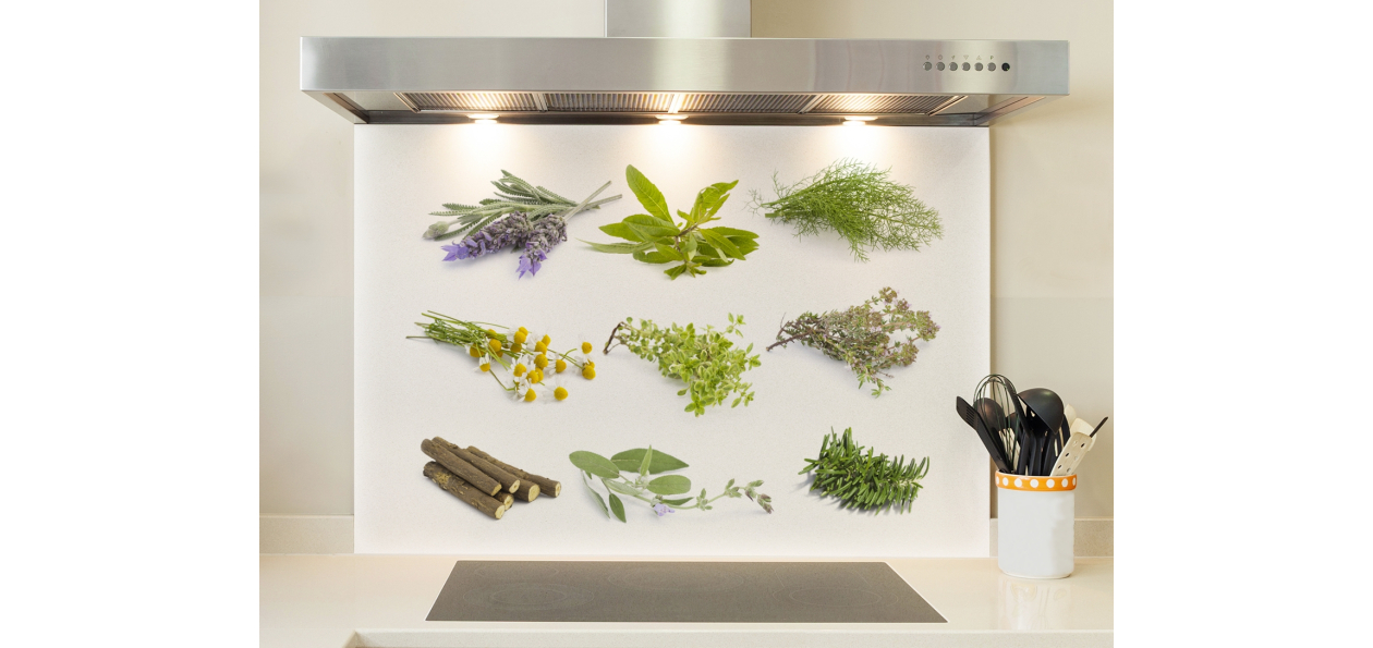 Herbier 5