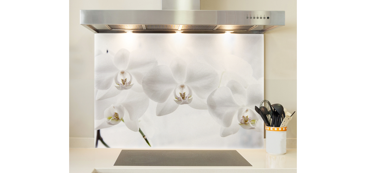 Orchidées blanches