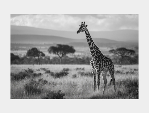 Tableau : Savane Et Girafe 2