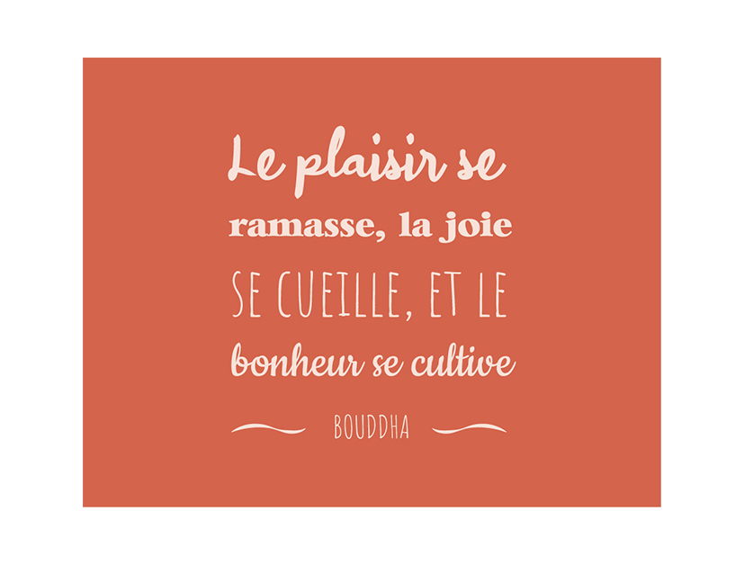 Le plaisir se ramasse 2