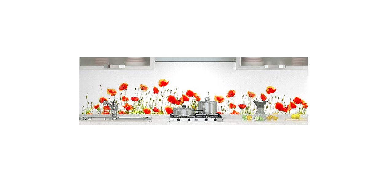 Champs de coquelicots 