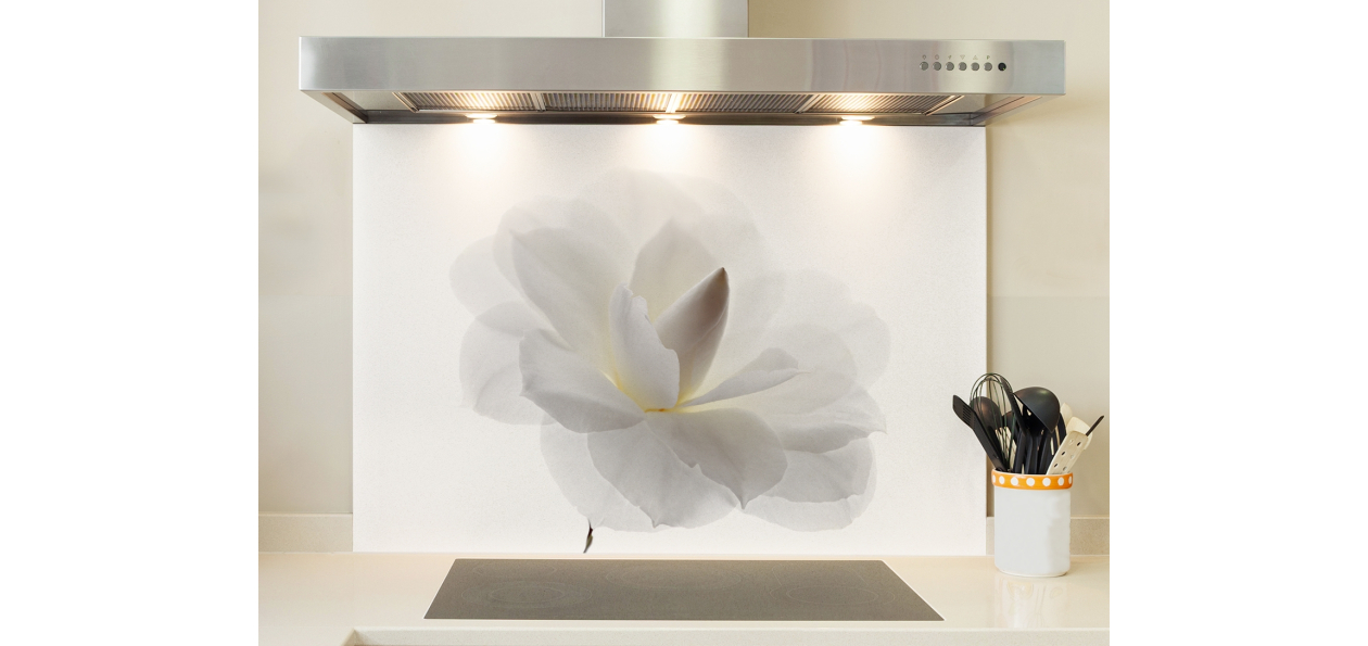 Fleur blanche