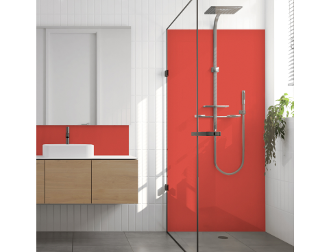 Panneau de douche : RAL 2012