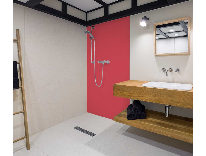 Panneau de douche : RAL 3017