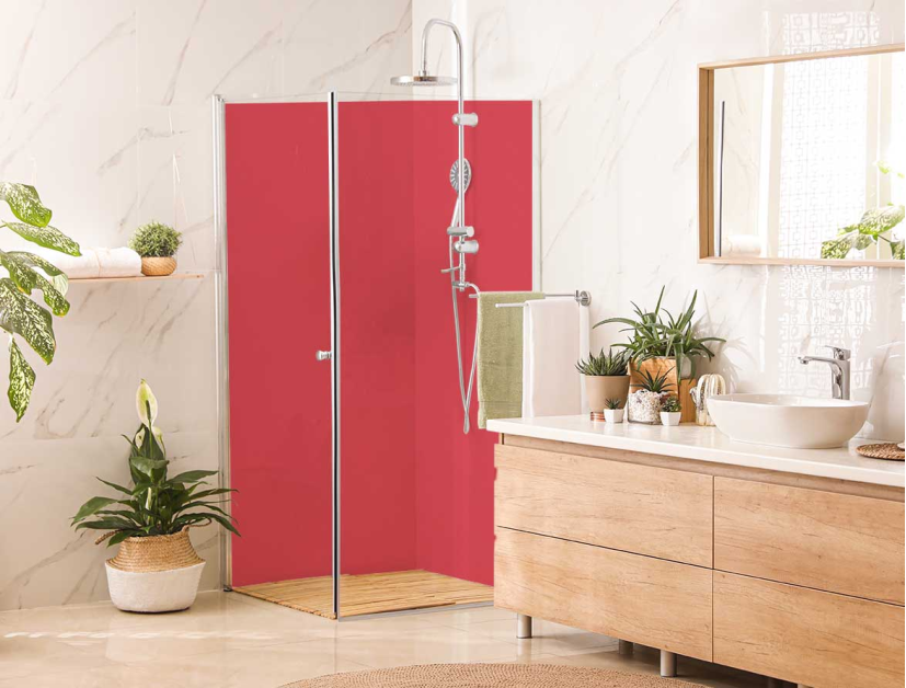 Panneau de douche : RAL 3017