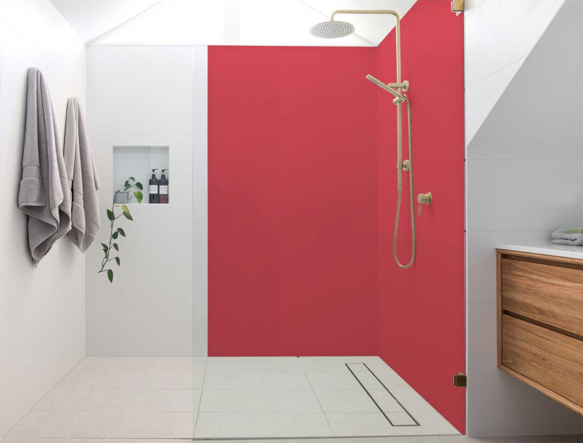 Panneau de douche : RAL 3017