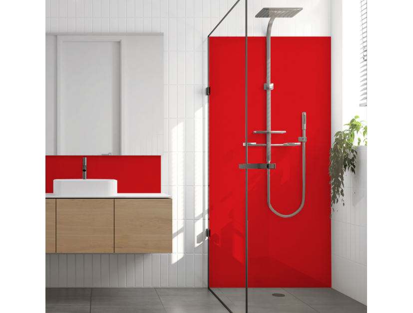 Panneau de douche : RAL 3020