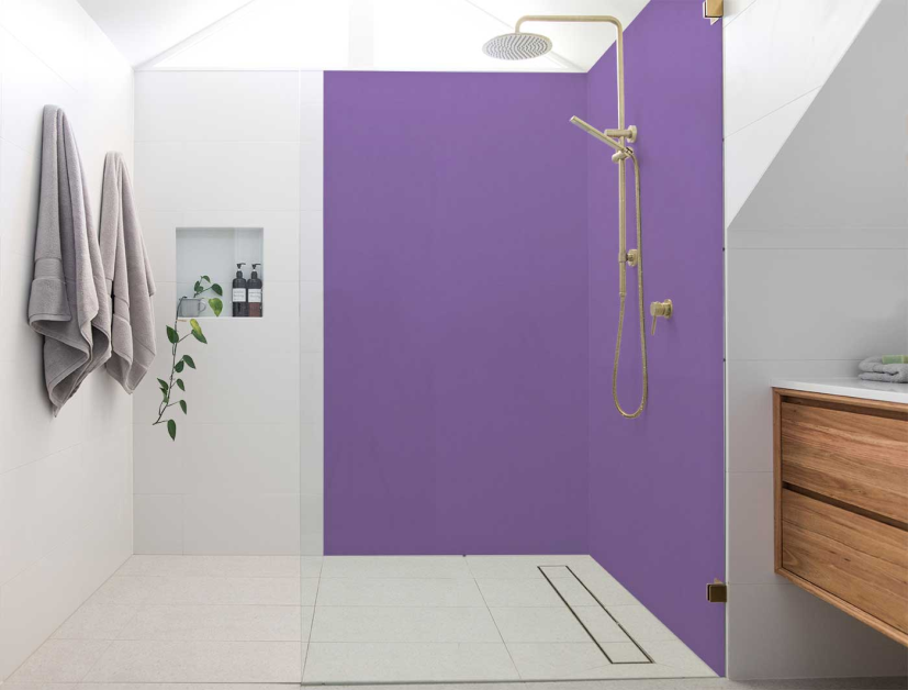 Panneau de douche : RAL 4005