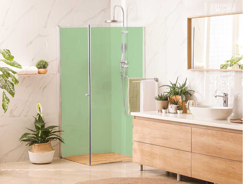 Panneau de douche : Vert blanc RAL 6019