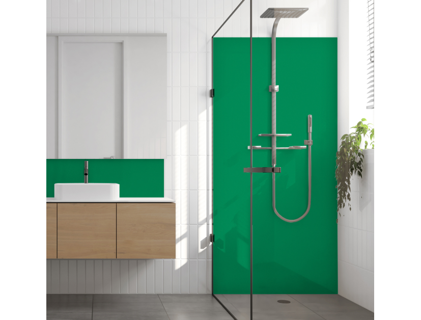 Panneau de douche : Vert signalisation 6024