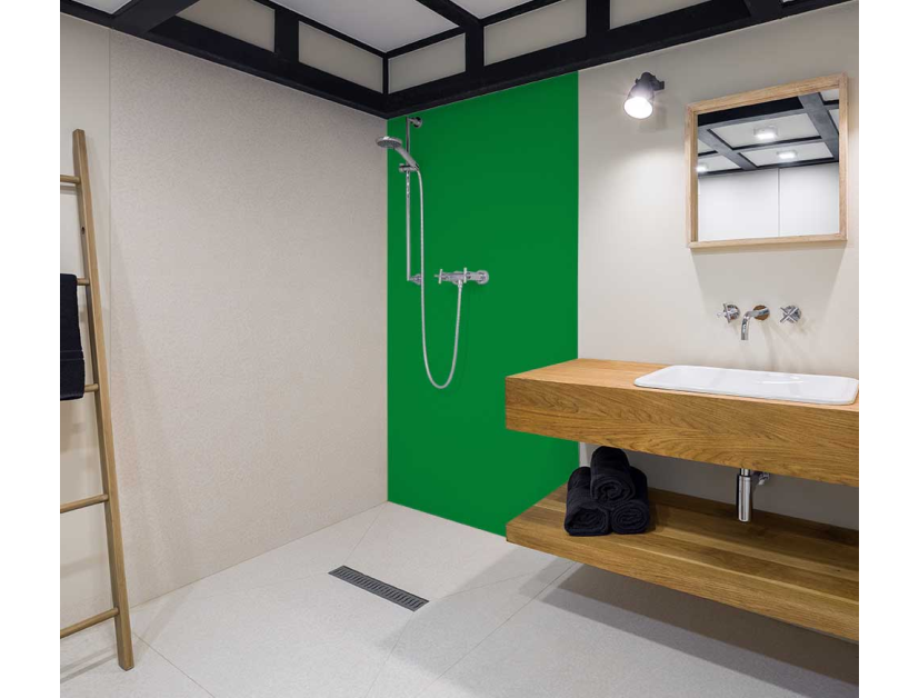 Panneau de douche : Vert pur RAL 6037