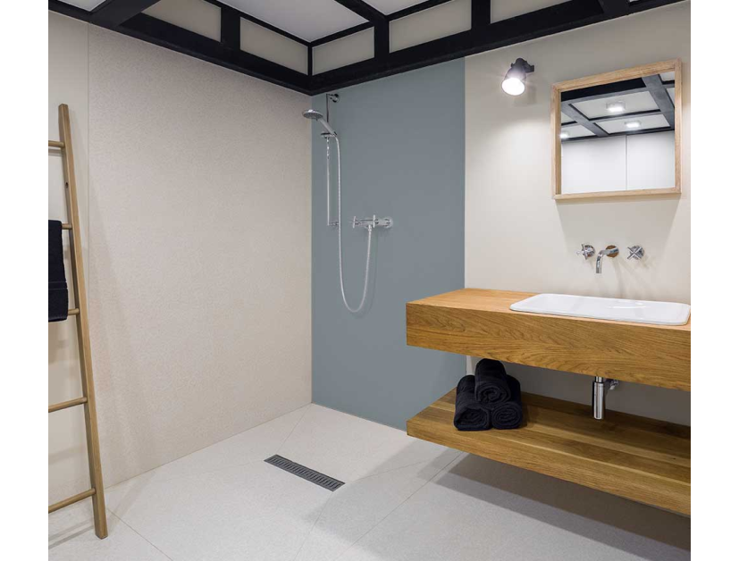 Panneau de douche : Gris argent RAL 7001