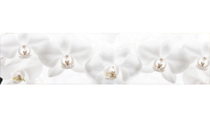 Crédence salle de bain : Orchidées blanches