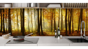Forêt et couleur 