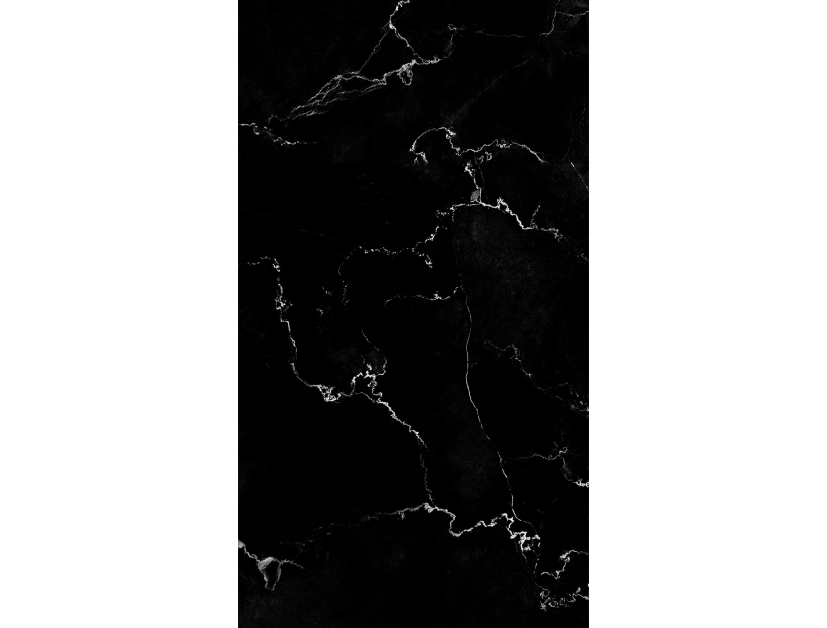 Panneau de douche : Marbre noir de Trieste