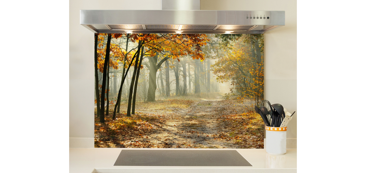 forêt et automne