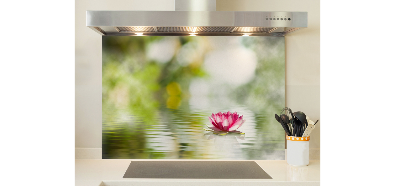 Fleur de lotus beau sur l’eau