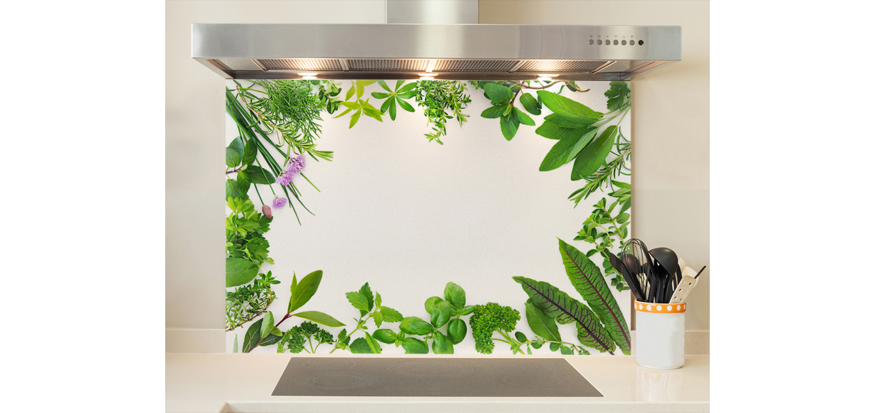 Fond de hotte : Plantes...