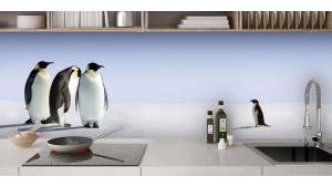 Pingouins et famille