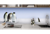 Pingouins et famille