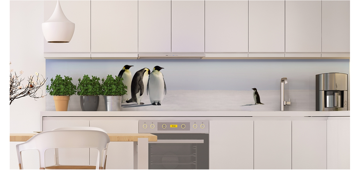 Pingouins et famille