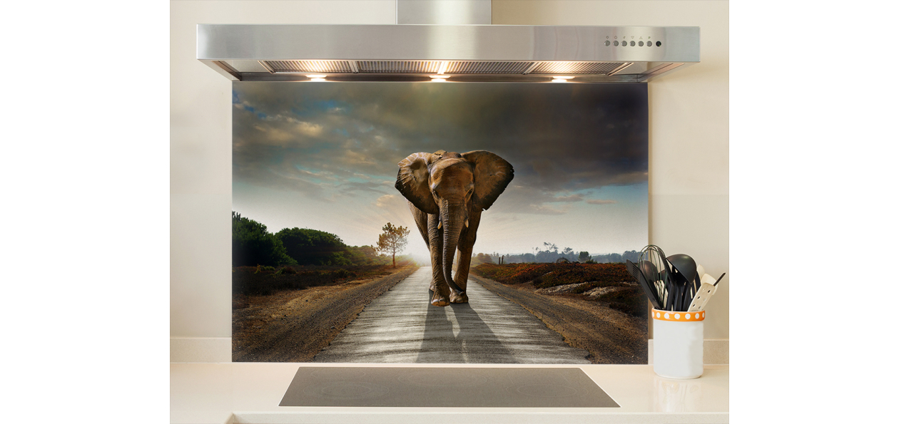Fond de hotte : Eléphant